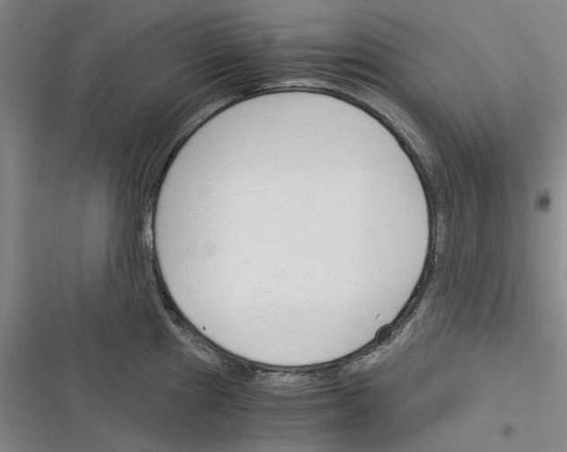 X0000116371241201001131741