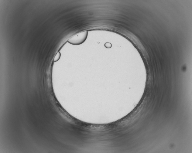 X0000116371242201001131741