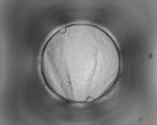 X0000116371245201001131741