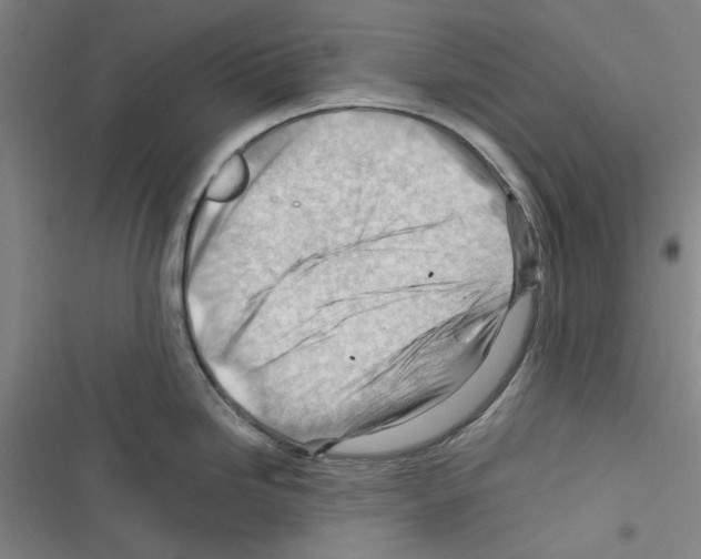 X0000116371246201001131741