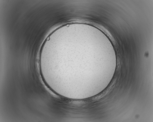 X0000116371247201001131741