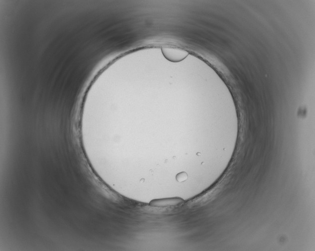 X0000116371248201001131741