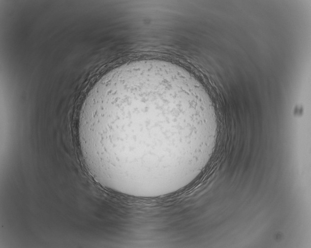 X0000116371249201001131740