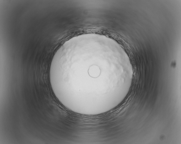 X0000116371252201001131740