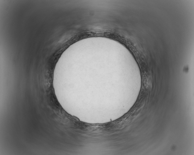 X0000116371253201001131740