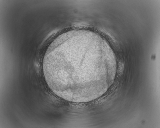 X0000116371254201001131740