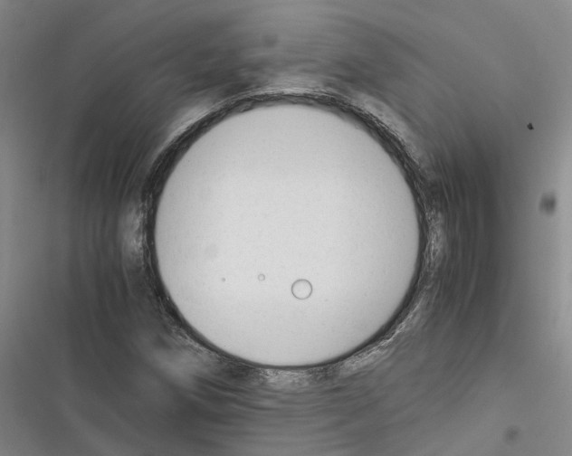 X0000116371258201001131740