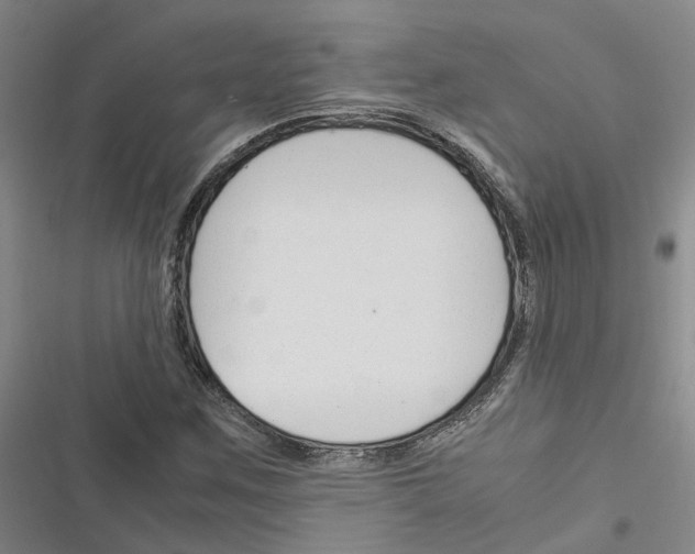 X0000116371259201001131740