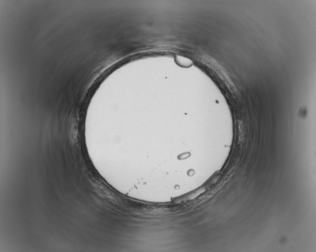 X0000116371260201001131740