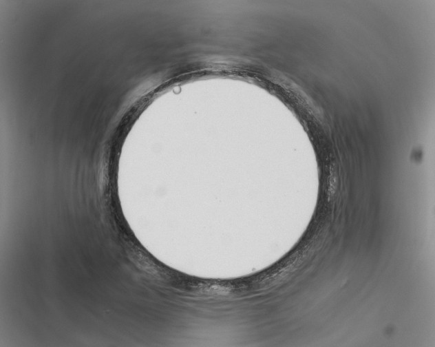 X0000116371261201001131740