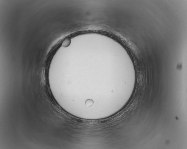 X0000116371262201001131740