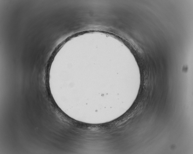 X0000116371264201001131740