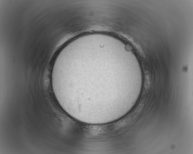 X0000116371266201001131740