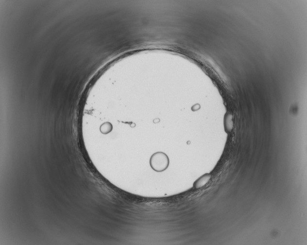 X0000116371268201001131740