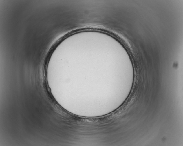 X0000116371271201001131740