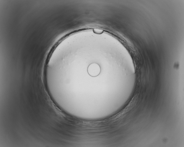 X0000116371272201001131740