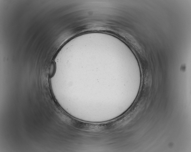 X0000116371273201001131740