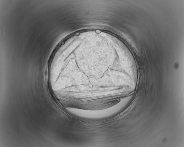 X0000116371275201001131740