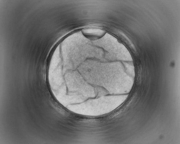 X0000116371276201001131740