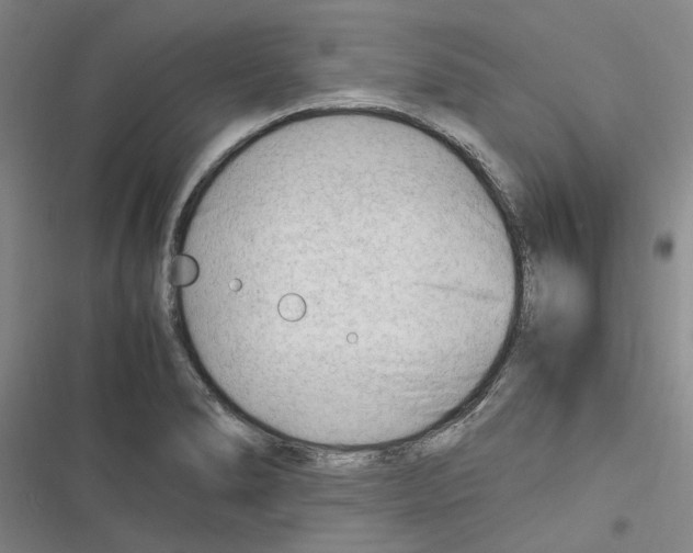 X0000116371278201001131740