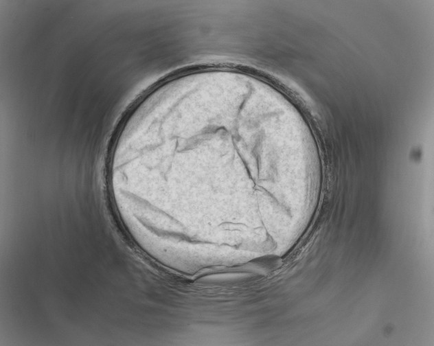 X0000116371279201001131740