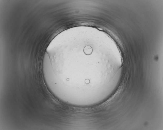 X0000116371281201001131740