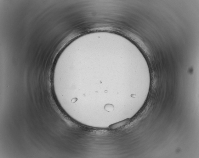 X0000116371282201001131740