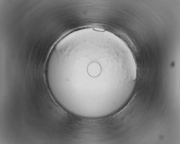 X0000116371284201001131740