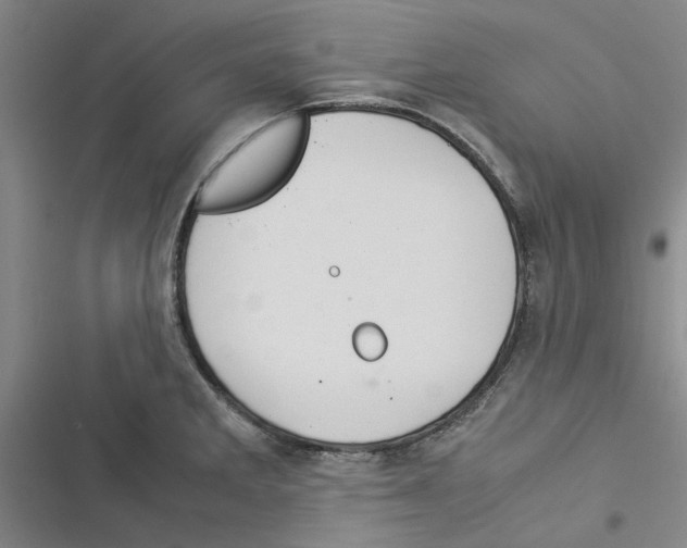 X0000116371285201001131740