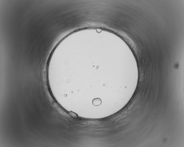 X0000116371287201001131740