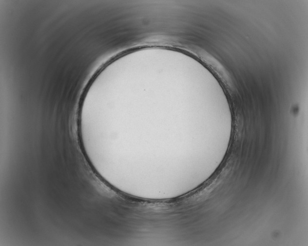 X0000116371288201001131740