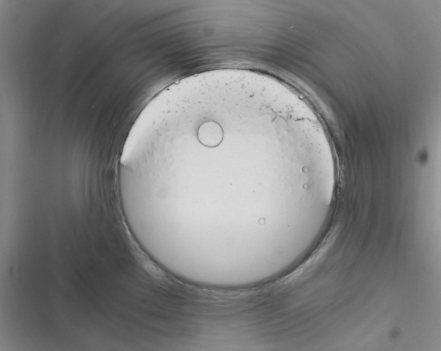 X0000116371289201001131740