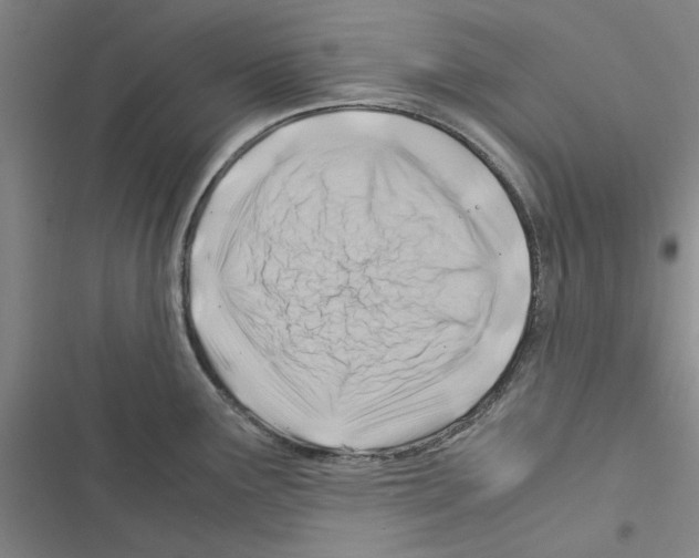 X0000116371291201001131740