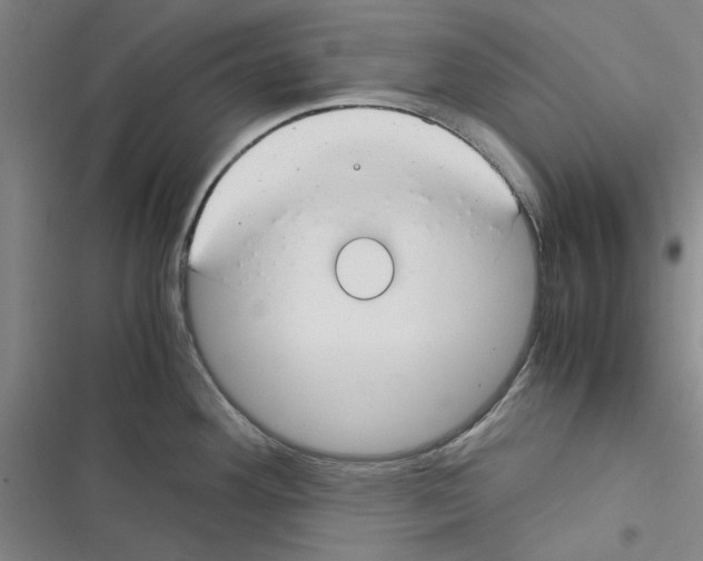 X0000116371292201001131740