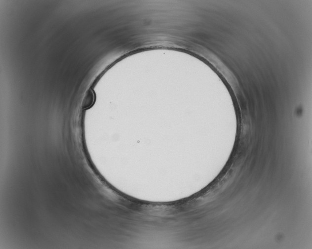 X0000116371293201001131740