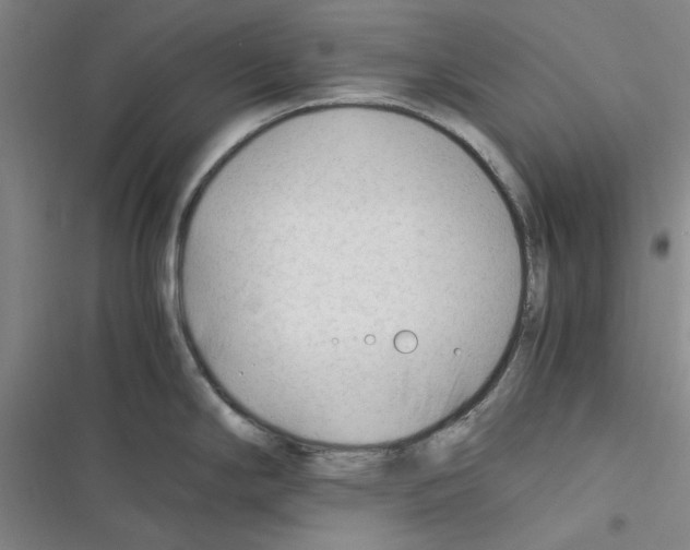 X0000116371294201001131740