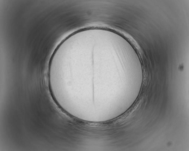 X0000116371295201001131739