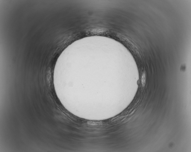 X0000116371299201001131739