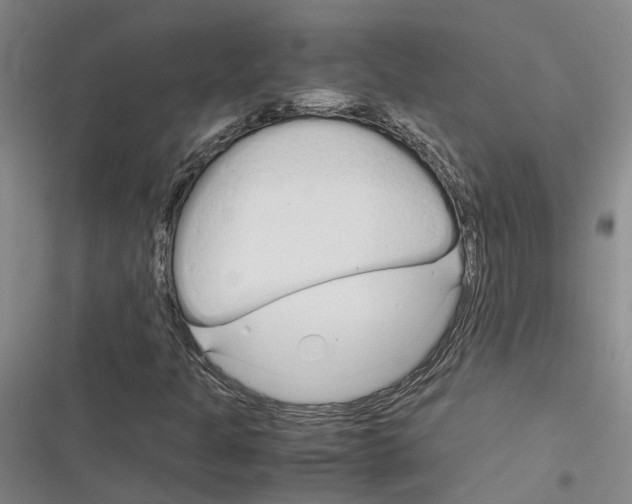 X0000116371301201001131739