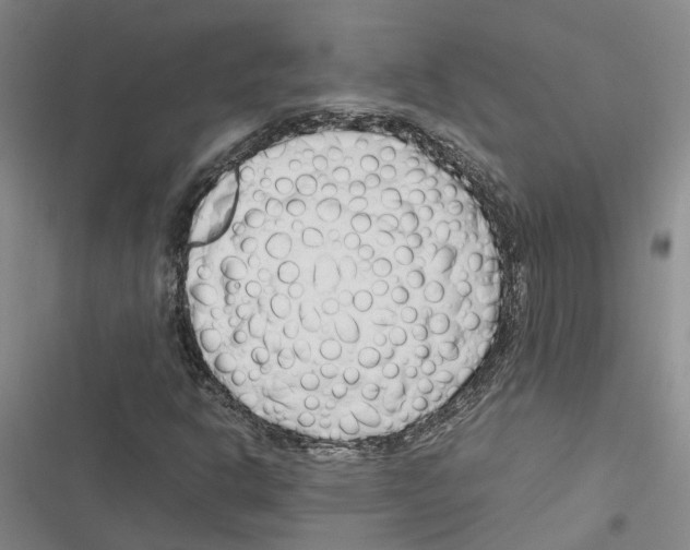 X0000116371302201001131739