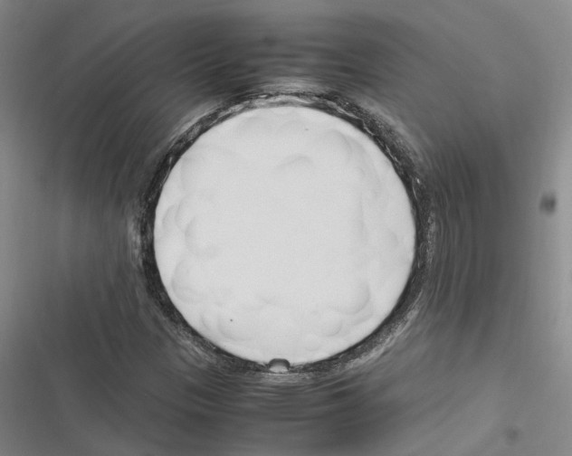 X0000116371305201001131739