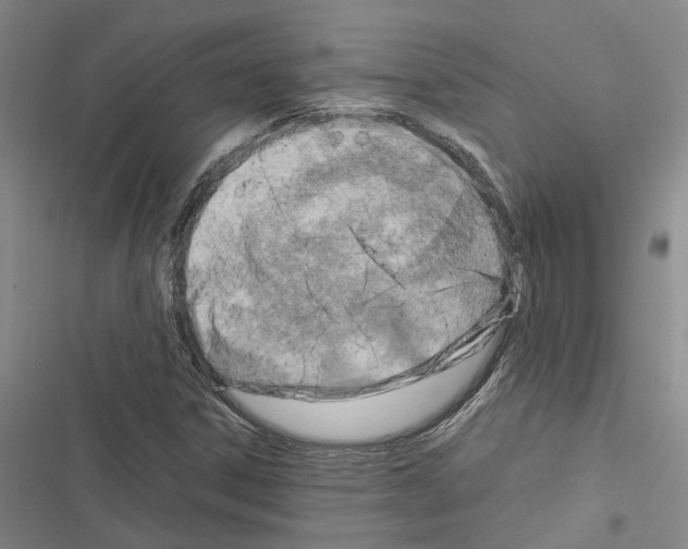 X0000116371306201001131739