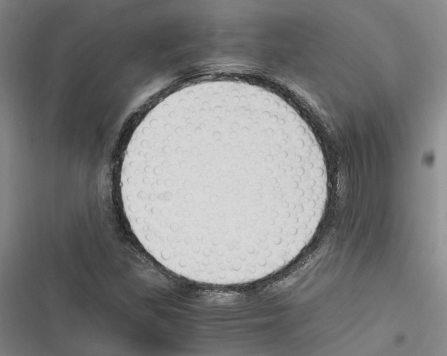 X0000116371309201001131739