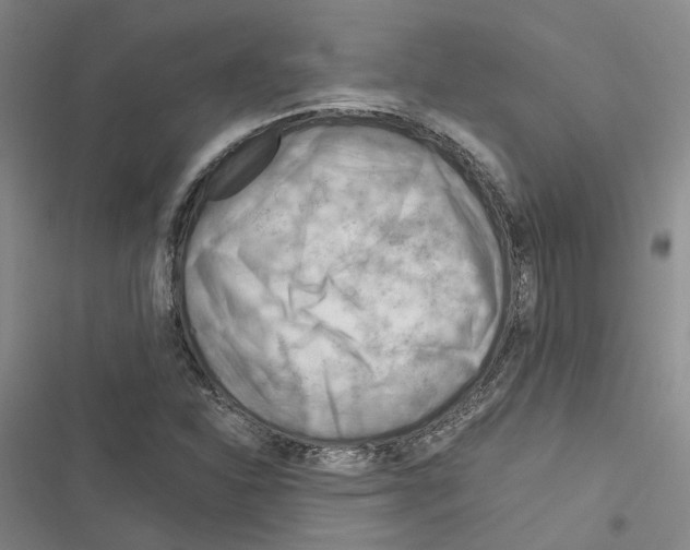 X0000116371310201001131739