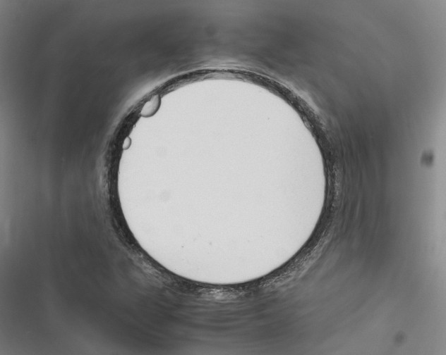 X0000116371311201001131739