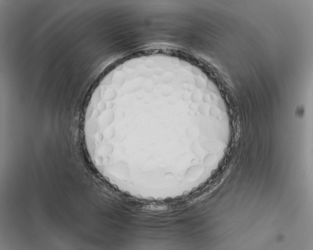 X0000116371313201001131739