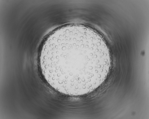 X0000116371315201001131739