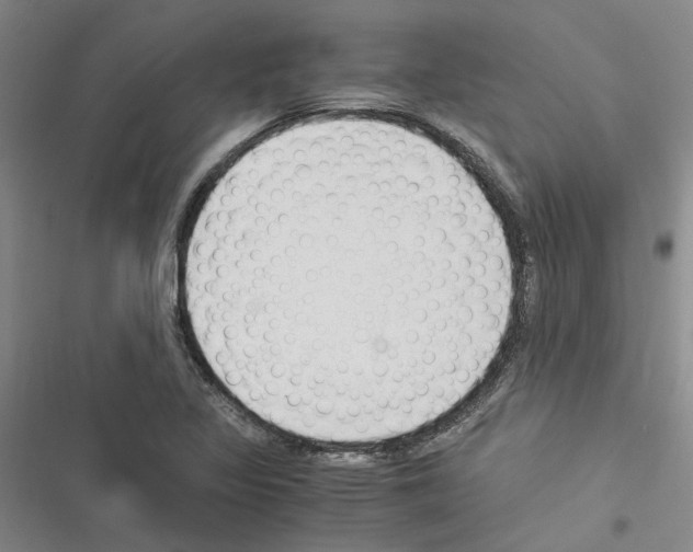 X0000116371317201001131739