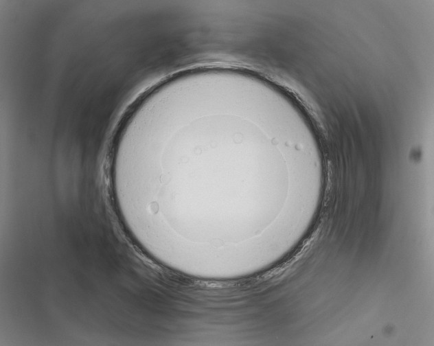 X0000116371318201001131739