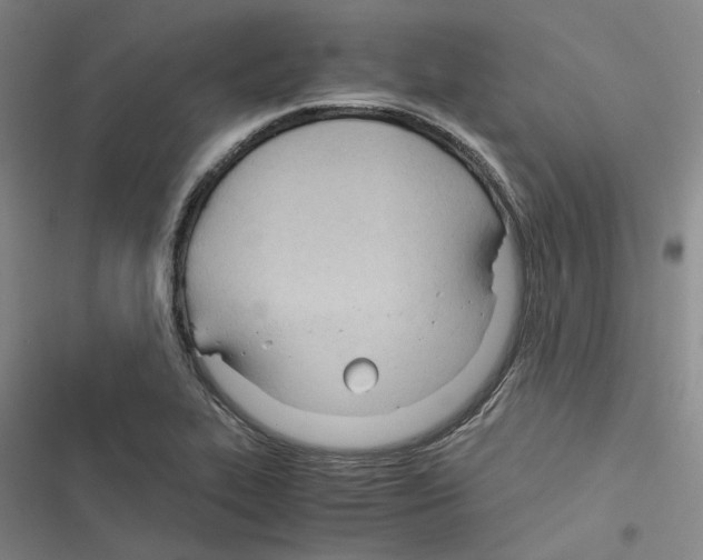 X0000116371319201001131739